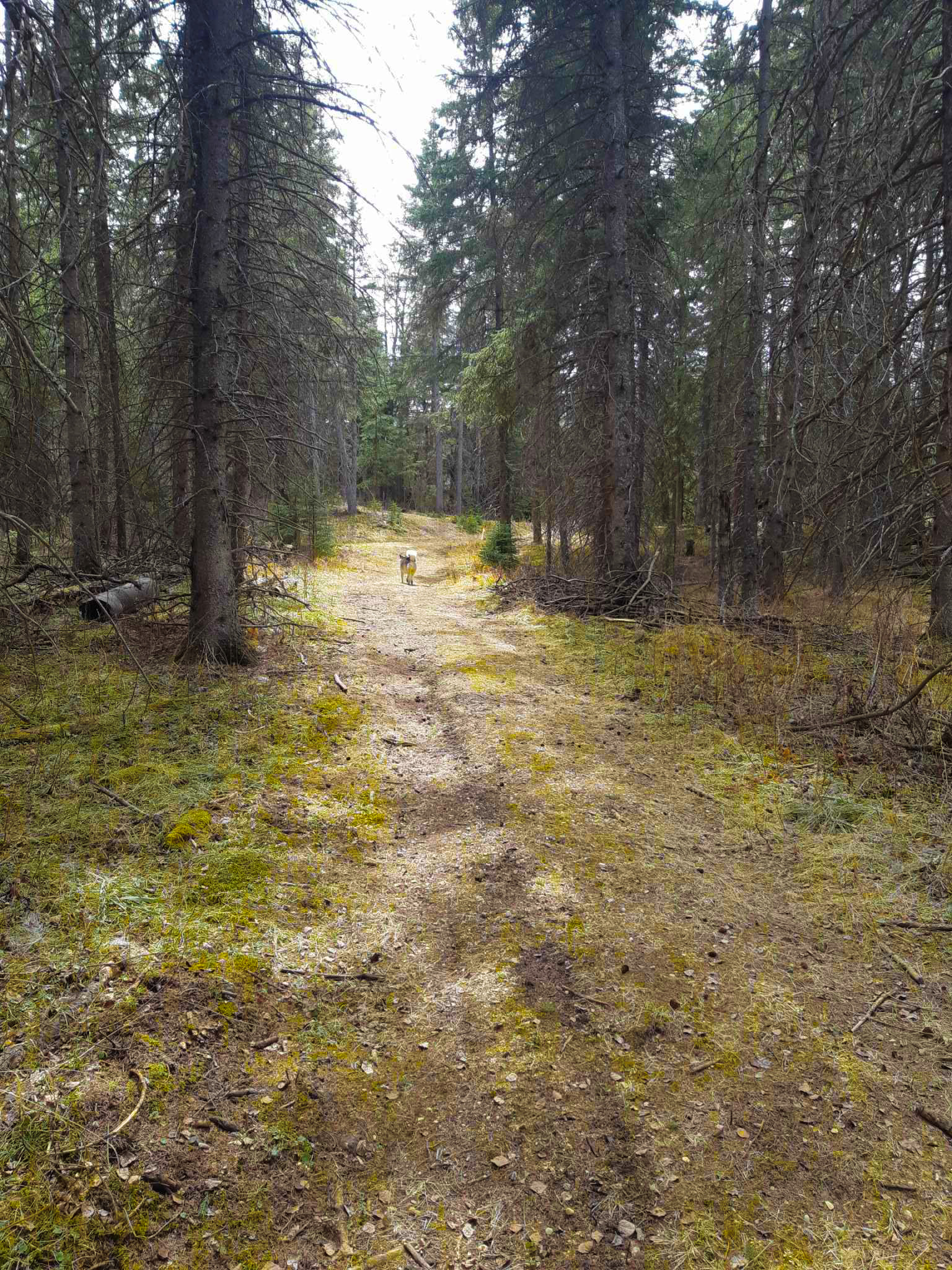 Walking trail outside of hall