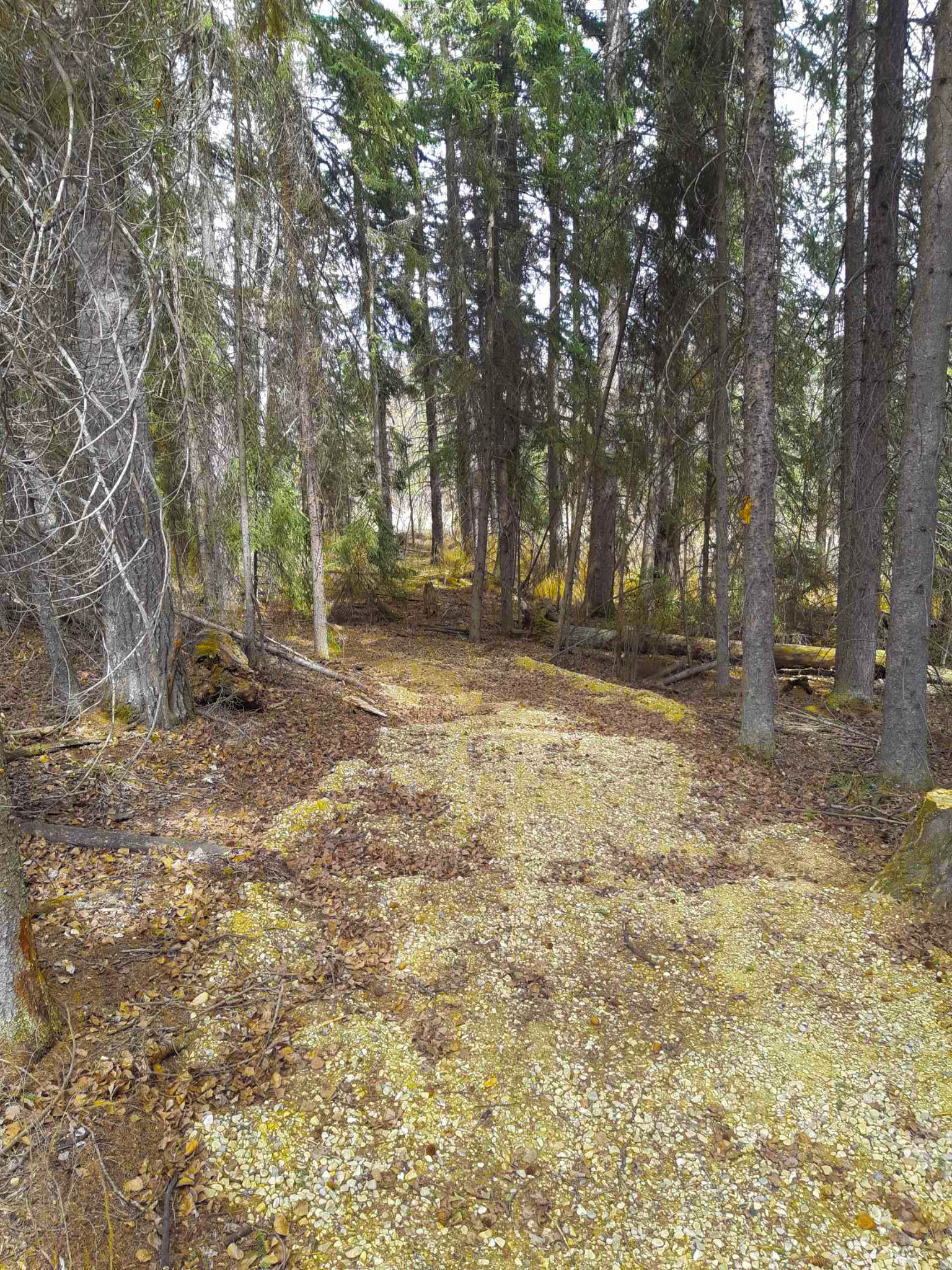 Walking trail outside of hall